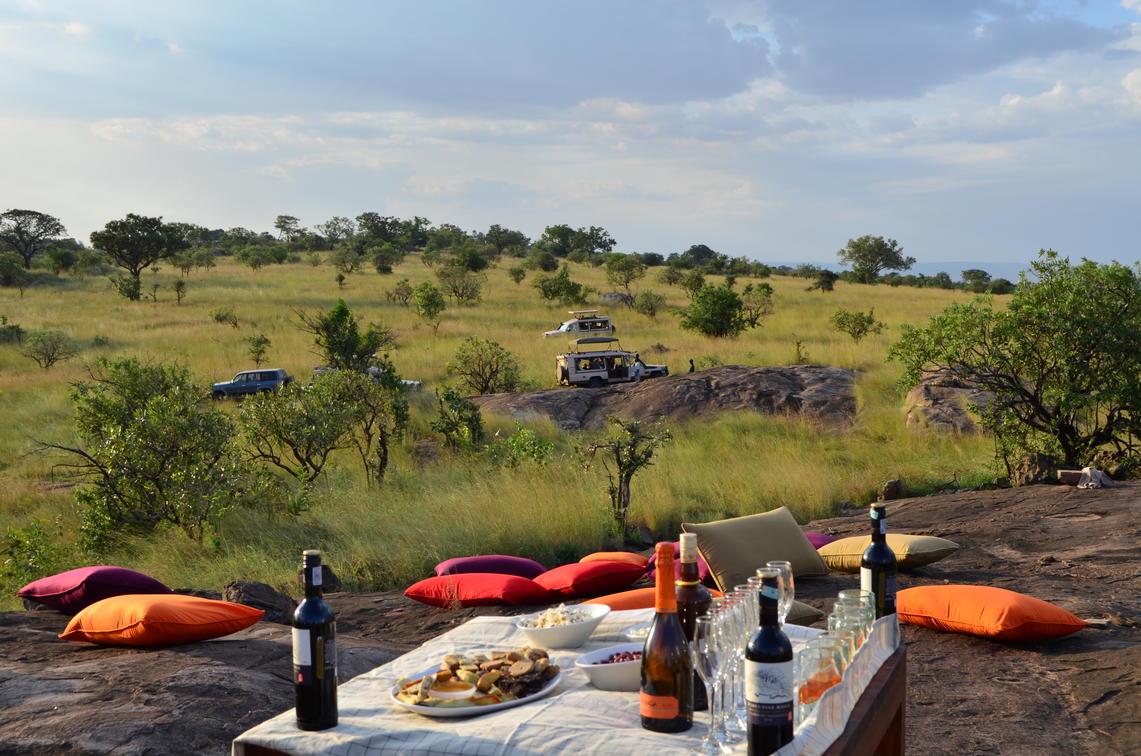 Elephant herd in the savannah