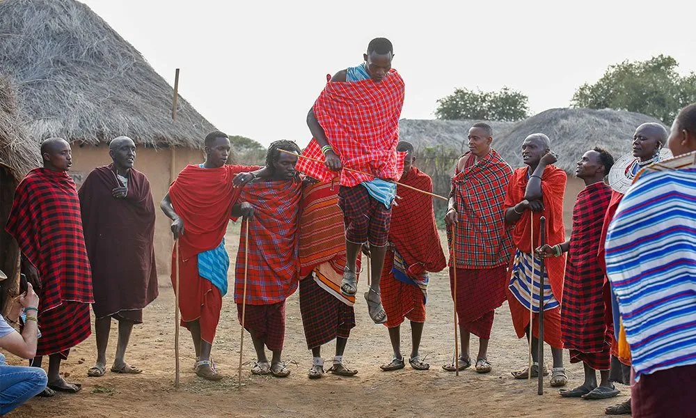 Elephant herd in the savannah
